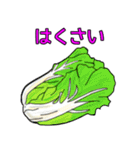 きよすけのお買い物食材（╹◡╹）（個別スタンプ：16）