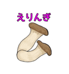 きよすけのお買い物食材（╹◡╹）（個別スタンプ：23）