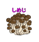 きよすけのお買い物食材（╹◡╹）（個別スタンプ：24）