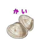 きよすけのお買い物食材（╹◡╹）（個別スタンプ：29）