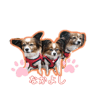 テン＆クウ＆ソラ（個別スタンプ：3）