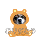 テン＆クウ＆ソラ（個別スタンプ：4）