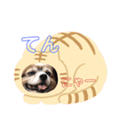 テン＆クウ＆ソラ（個別スタンプ：5）