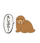 まったり海の生きものスタンプ（個別スタンプ：35）
