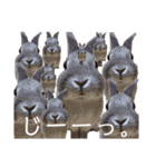 みっちゃんと楽しい家族達♪（個別スタンプ：34）