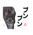 みっちゃんと楽しい家族達♪（個別スタンプ：35）