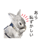 みっちゃんと楽しい家族達♪（個別スタンプ：36）