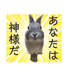 みっちゃんと楽しい家族達♪（個別スタンプ：37）