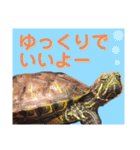 みっちゃんと楽しい家族達♪（個別スタンプ：40）