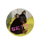 るん＆ソル（個別スタンプ：1）