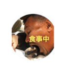 るん＆ソル（個別スタンプ：2）