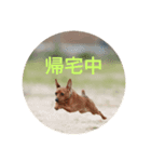 るん＆ソル（個別スタンプ：4）