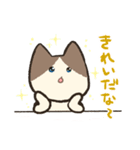 ちゃーちゃんです！（個別スタンプ：2）