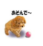リアルかわいい子犬（日本語バージョン）（個別スタンプ：3）