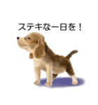 リアルかわいい子犬（日本語バージョン）（個別スタンプ：4）