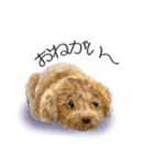 リアルかわいい子犬（日本語バージョン）（個別スタンプ：5）