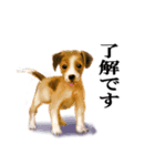 リアルかわいい子犬（日本語バージョン）（個別スタンプ：13）