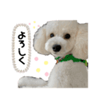ジョア君スタンプ♡（個別スタンプ：7）