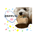 ジョア君スタンプ♡（個別スタンプ：11）