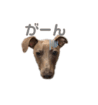ダイコジですが。（個別スタンプ：10）