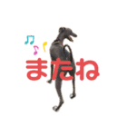 ダイコジですが。（個別スタンプ：12）