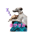 ダイコジですが。（個別スタンプ：17）