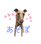 ダイコジですが。（個別スタンプ：20）