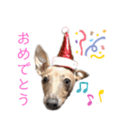 ダイコジですが。（個別スタンプ：21）