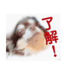 りこるつー（個別スタンプ：2）