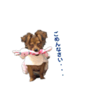 りこるつー（個別スタンプ：15）