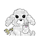 うっとこの箱入り娘犬（個別スタンプ：1）