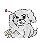 うっとこの箱入り娘犬（個別スタンプ：6）