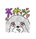 うっとこの箱入り娘犬（個別スタンプ：11）
