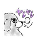 うっとこの箱入り娘犬（個別スタンプ：12）