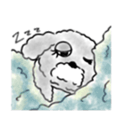 うっとこの箱入り娘犬（個別スタンプ：13）