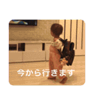 さらあお（個別スタンプ：10）