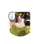 みかんとテンの楽しい毎日❤️③（個別スタンプ：4）