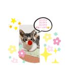 みかんとテンの楽しい毎日❤️③（個別スタンプ：5）