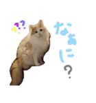 ミントとライム1（個別スタンプ：7）