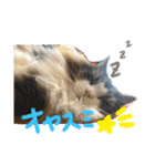 ミントとライム1（個別スタンプ：9）