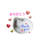 ふわふわ♡しろっち Pearl White Hamster☆（個別スタンプ：1）