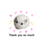 ふわふわ♡しろっち Pearl White Hamster☆（個別スタンプ：2）