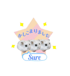 ふわふわ♡しろっち Pearl White Hamster☆（個別スタンプ：6）