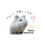 ふわふわ♡しろっち Pearl White Hamster☆（個別スタンプ：8）