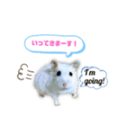 ふわふわ♡しろっち Pearl White Hamster☆（個別スタンプ：15）