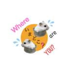 ふわふわ♡しろっち Pearl White Hamster☆（個別スタンプ：16）