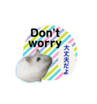 ふわふわ♡しろっち Pearl White Hamster☆（個別スタンプ：18）