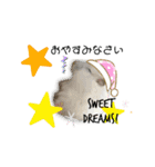 ふわふわ♡しろっち Pearl White Hamster☆（個別スタンプ：23）