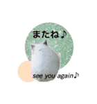 ふわふわ♡しろっち Pearl White Hamster☆（個別スタンプ：24）