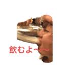 春二くん（個別スタンプ：2）
